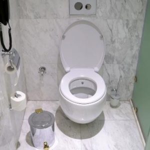 最佳美国标准厕所